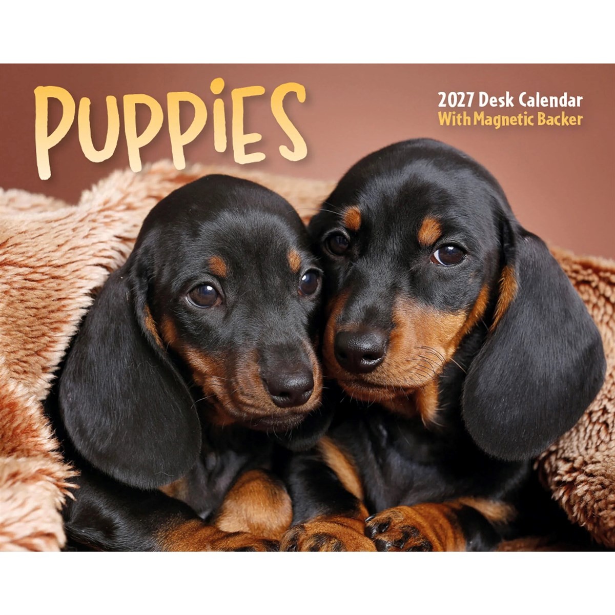 Puppies Mini Box (Calendar) - Image 3