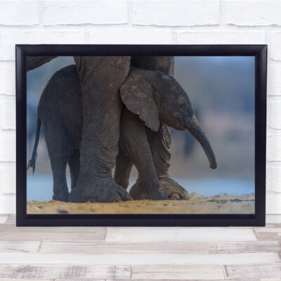 Elefant Kalb Mutter süß zwei Tiere Safari Reise schlicht Tier Wandkunstdruck