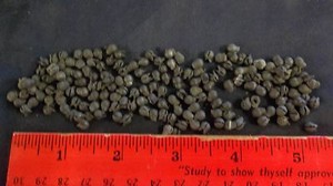 180-count-up-to-720-count-REMOVABLE-SPLIT-SHOT-SINKERS-SIZE-BB