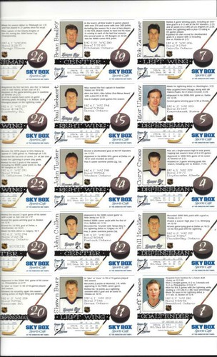 1995/96 TAMA BAY LIGHTNING COMMEMORATIVE (4) Four PHOTO ALBUM of PLAYERS - Picture 3 of 6