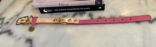 Dog Collar -Small Vegan Two Tone Collar with Gold Hardware - Picture 2 of 4