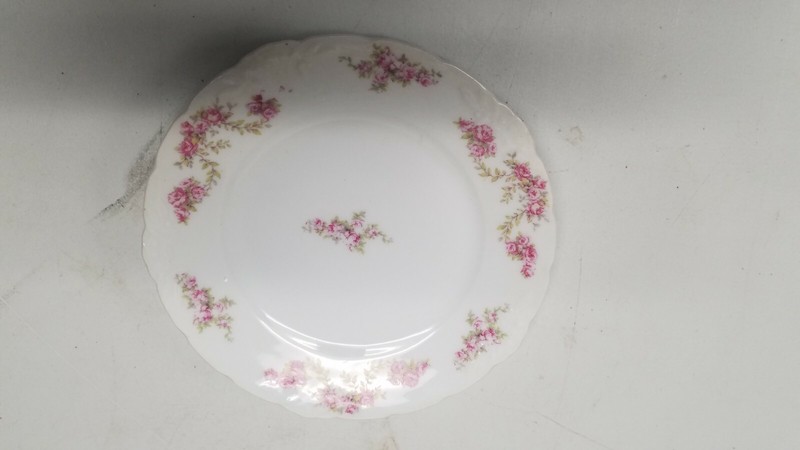 Thomas Bavaria China 6" Plate Scalloped THO33855C