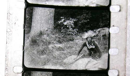 Vintage 1920s(?) 35mm comedy film Hunting in AFRICA - Picture 3 of 19