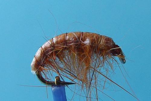 4 Mouches De Pêche Nymphe Gammare Orange - Pour Truite - Réalistes