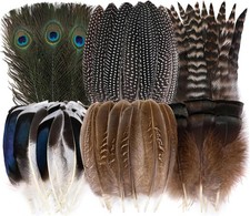 Assorted Natural Feathers Pack - 48pcs, 6 Styles for Crafts