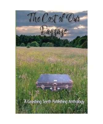 The Cost of Our Baggage