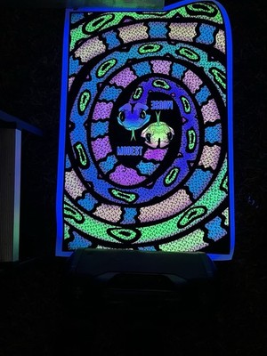 Modest Mouse Collaboration W/ Ambsn Concert Black Light Poster