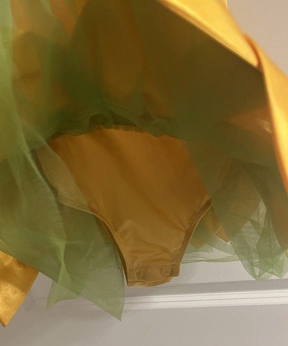 GYMBOREE Sunflower COSTUME DRESS SIZE 18-24 Months HALLOWEEN DRESS UP gold yello - Picture 4 of 5