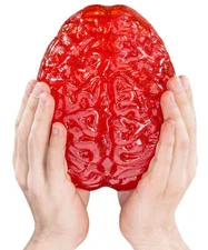 Gummy Brain