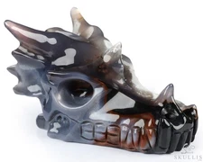 5.3" Black Zebra Agate Hand Carved Crystal Dragon Skull Sculpture, Healing