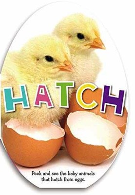 Hatch - Board book, by Cox Katie - Very Good