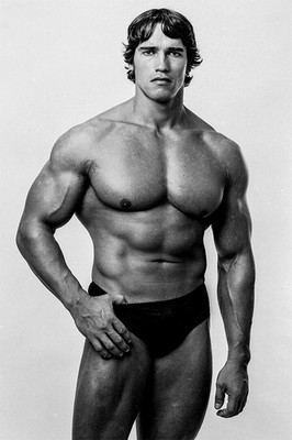 613031 Arnold Schwarzenegger Bodybuilding Fitness Gym Wall Print Poster