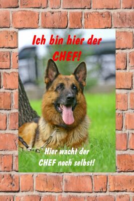 Schild Hund Schäferhund Ich bin hier der Chef! 