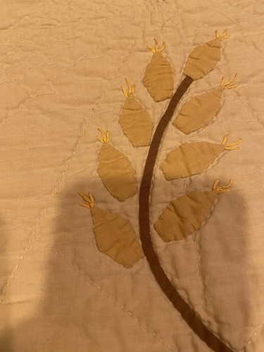 Vtg Quilt-1934 Ohio Signed Hand Appliqué Quilt With Abstract Pattern - Picture 20 of 24