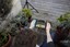 Bild 2 von 3