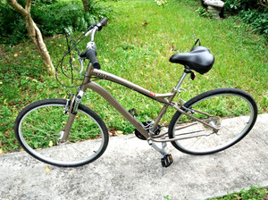 Globe Specialized Bike | eBay