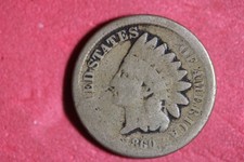  on The Hot Collector