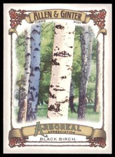 2021 Topps Allen & Ginter Arboreal Appreciation Black Birch #AA-11