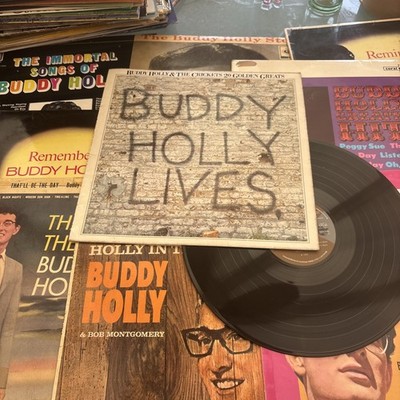 Buddy Holly Vinyl Bundle x9 Records LP 