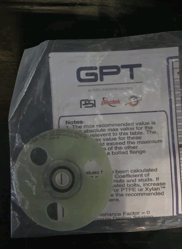 GPT Pikotek Strainer Flange Gasket 5000105 25-250LB-G10-V
