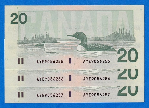 Canada $20 1991 BC-58d-i / P-97d - QE II UNC Note Prefix AYE - 第 1/6 張圖片