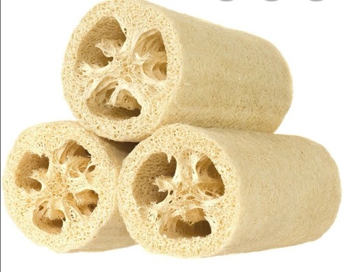 20 Semi di LUFFA Aegiziaca (spugna vegetale ecologica e biodegradabile) - Foto 3 di 5