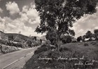 24-10722 - SASSARI - DINTORNI  VIAGGIATA
