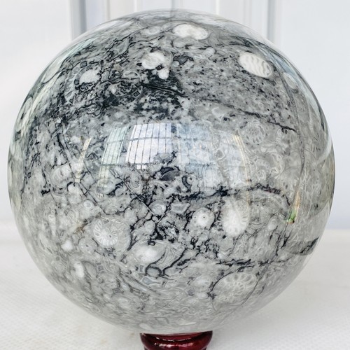 Natural Insectconch fossil crystal Ball Quartz Crystal Sphere Reiki Healing3880G - Picture 11 of 12