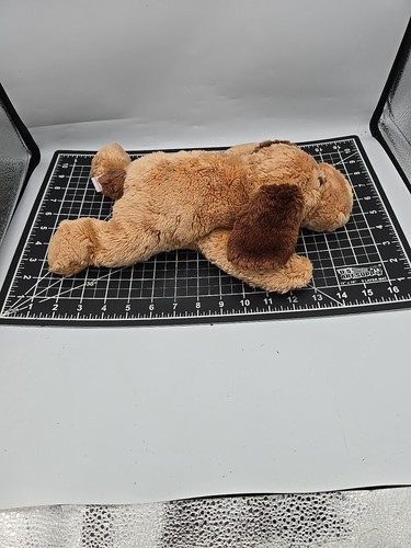Ty Beanie Buddies Collection Vintage 2000 Retired VGC - Picture 2 of 6