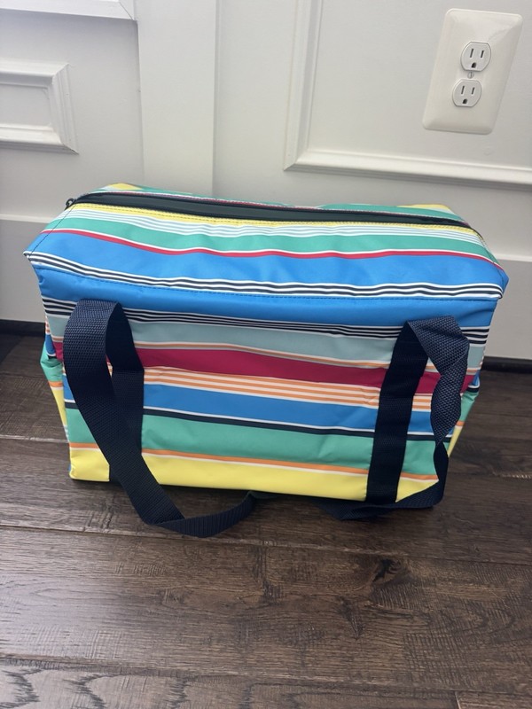 Multicolor Striped Soft-Sided Cooler Bag Tote, Portable Passive Insulated