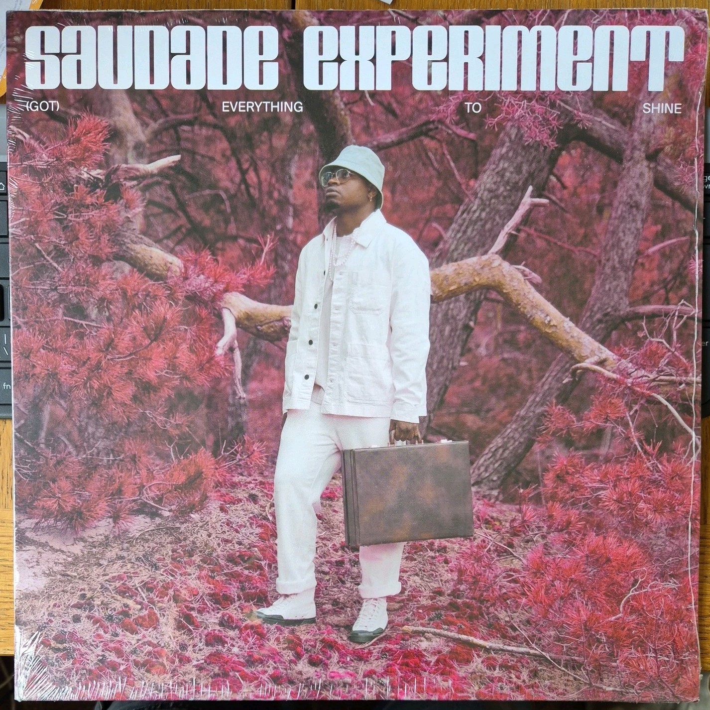 Saudade Experiment - (Got) Everything To Shine Vinyl NEW