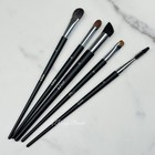 DIOR Eye Brush Set - Lot of 5 Natural Hair , Eyeshadow Eyeliner Lash *Tester New