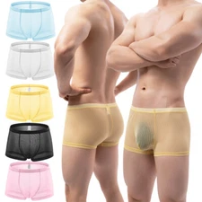 Men's See Through Mesh Boxer Briefs Shorts Low Rise Trunks Breathable Underpants