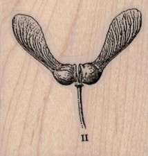 Seedling 2 x 2" Rubber Stamp, Tree Stamp, Woods Stamp, Seedling Stamp
