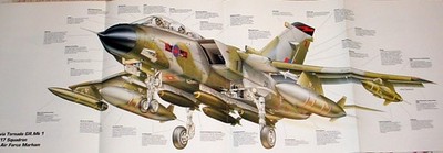 Tornado Panavia Jet Plane Picture Poster Aircraft Out of Print Vtg Decor     