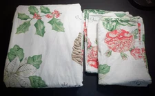 Pottery Barn Holiday Botanical on White FULL/QUEEN Duvet Cover, 2 Standard Shams