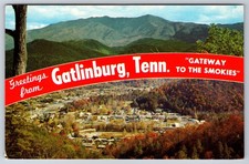 Gatlinburg Tenn Gateway to the Smokies Mount Le Conte Crockett Mountain Postcard
