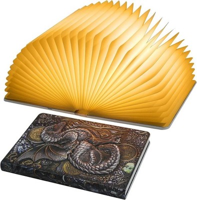 Buchlampe mit 3D-Relief, Led, Dekorativ, Bunt, Drachenmotiv, Papier