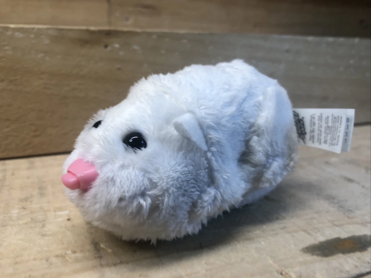 Zhu zhu pet