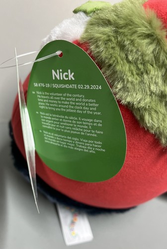 Squishmallow Roger the Ham Pat Donut Nick Chandy 8" Plush Christmas Holiday 2024 - Picture 11 of 17
