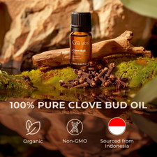 Essential Pain Relief Soothing 100 Natural Clove Oil