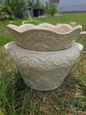 Floral White Embossed African Violet Self Wat...