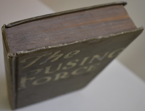 1911 THE FUSING FORCE IDAHO IDYL Katharine Hopkins Chapman collect/rebind - Picture 3 of 12