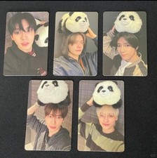 TARJETA FOTOGRÁFICA OFICIAL TXT SÉPTIMO AÑO: UN MOMENTO DE QUIETUD EN LAS ESPINAS YZY PANDA