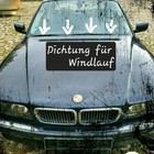 Bild 2 von 13
