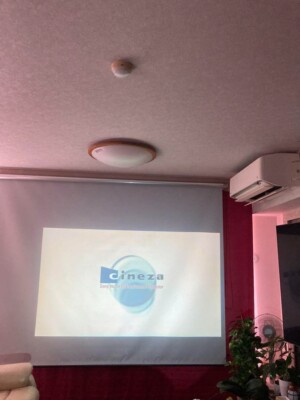 SONY Cineza VPL-HS10 LCD Video Projector with Remote and