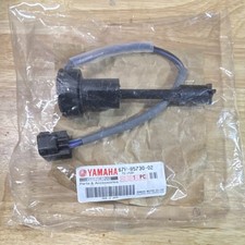 Yamaha oil level gauge on motor