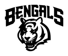 Cincinnati Bengals Decal 1 4.75"x6" Choose Color