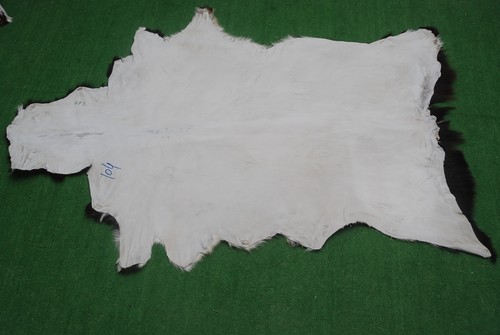 Nuovo tappeto in pelle di capra pelo su zona misura 38"x24" pelle animale pelle di capra G-104 - Foto 3 di 3