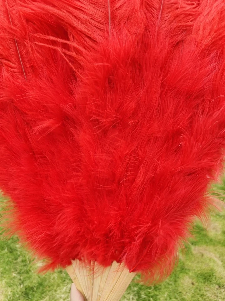 Handheld Big Red Feather Fan Feathers Stage Belly Dance Crafts Belly Dance Fan - Image 3 of 4